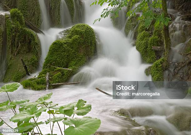 Exposição Longa Imagem De Cascata - Fotografias de stock e mais imagens de Amimar - Amimar, Animal selvagem, Ao Ar Livre