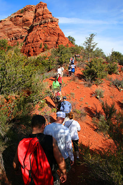istock Hiking Through the Arizona Desert 96695408