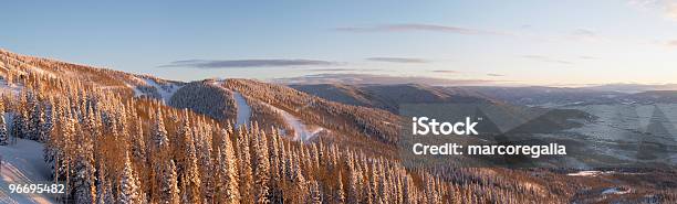 Photo libre de droit de Panoramique Sur Les Pistes De Ski En Hiver Steamboat Resort Colorado banque d'images et plus d'images libres de droit de Arbre