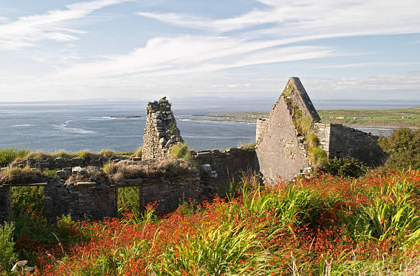 istock Red flowers and old house, Ireland 96696885