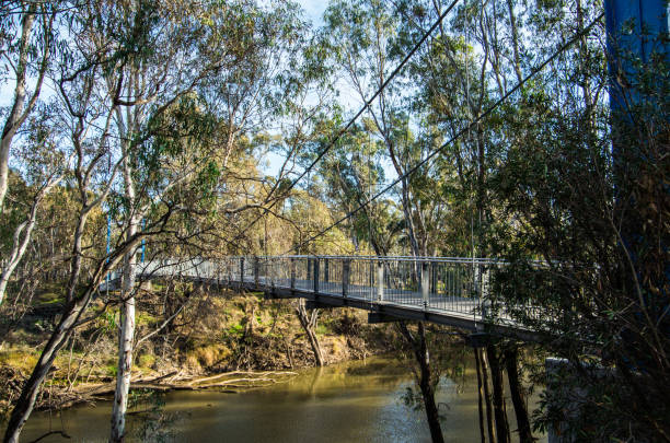 istock Footbridge over the Goulburn River in Shepparton, Australia 966973326