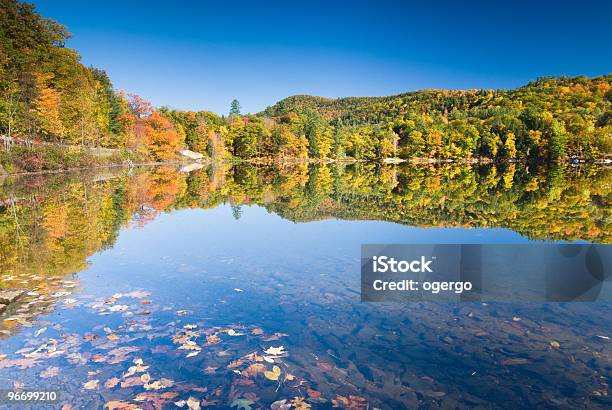 Foto de Outono Perfeito Cenário À Beira Do Lago e mais fotos de stock de Lago - Lago, Litoral, Orla