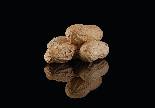 Roasted peanuts  with peanut shells