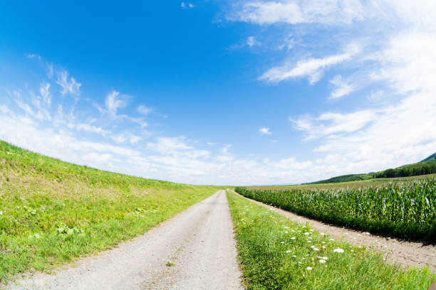 istock Rural gravel road 967007304