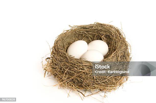 Três Ovos Em Um Ninho - Fotografias de stock e mais imagens de Branco - Branco, Comida, Figura para recortar