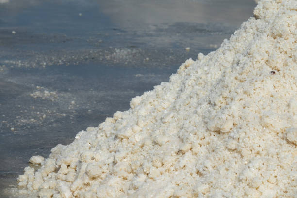 The white salt field on a sunny day. Royalty high-quality free stock footage of white salt field in a beach village. Salt is an important food for people