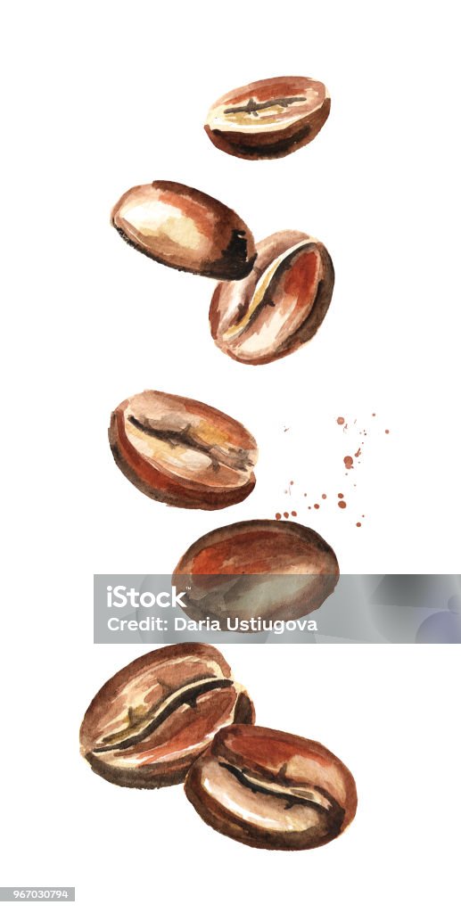 落下のコーヒー豆。水彩の手描きイラスト、白い背景で隔離 - コーヒー豆のロイヤリティフリーストックイラストレーション