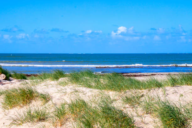 панорама l'epine на пляже. нуармутье. венде - vendee стоковые фото и изображения