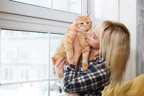 istock Young woman playing with cat in home. 967035276