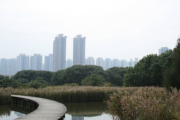 Nature Vs City stock photo