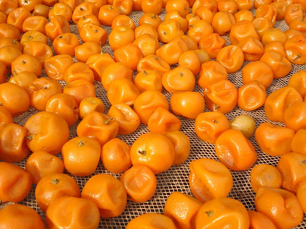 Dried Tangerines on the Wicker stock photo