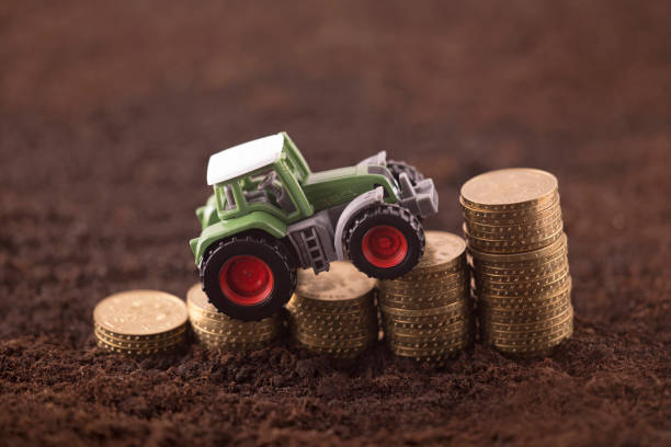 istock Tractor miniature with coins on fertile soil land 967053832
