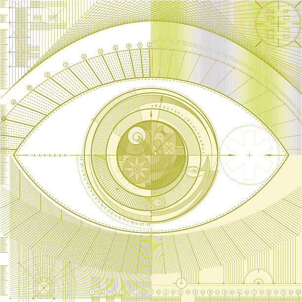 Eye Draft 4,400+ Diagram Of The Eye Stock Illustrations, Royalty-Free Vector ...