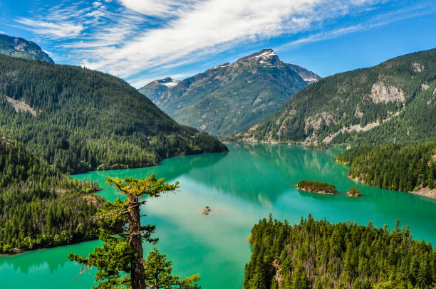 spokojne szmaragdowe jezioro w parku narodowym północne kaskady w stanie waszyngton - north cascades national park northern cascade range reservoir mountain zdjęcia i obrazy z banku zdjęć