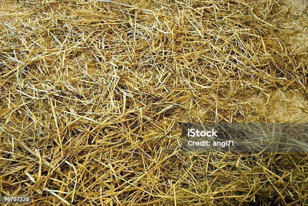 Hay E Palha - Fotografias de stock e mais imagens de Chão - Chão, Feno, Agricultura