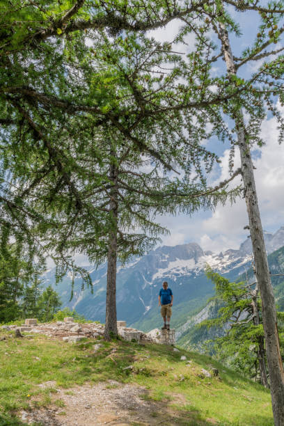istock Senior Mountaineer hiking in Alps 967080268