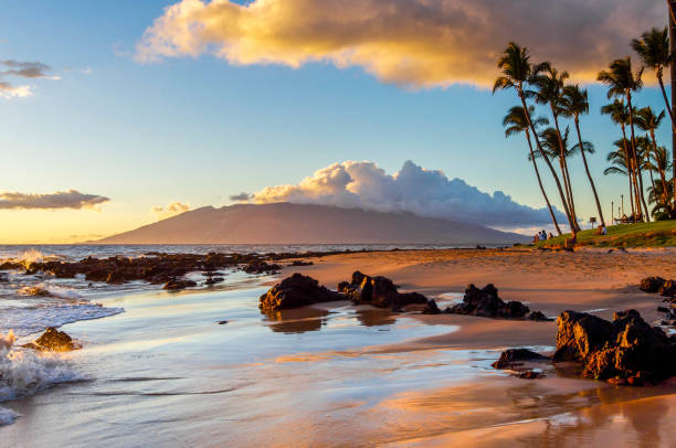 Sunset on a Maui Beach The glow of sunset is reflected on a Maui beach. maui stock pictures, royalty-free photos & images