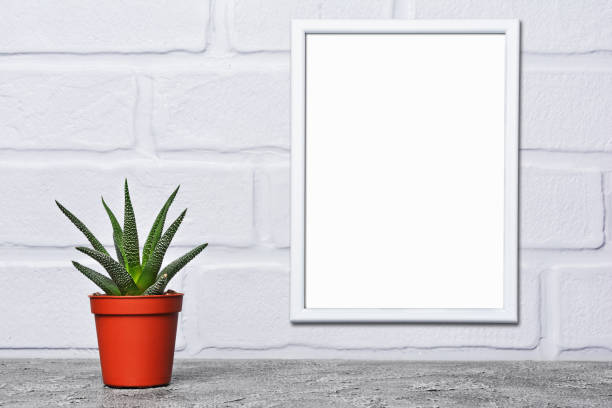 istock Red flower pot with small cactus and mock-up of white frame 967085704