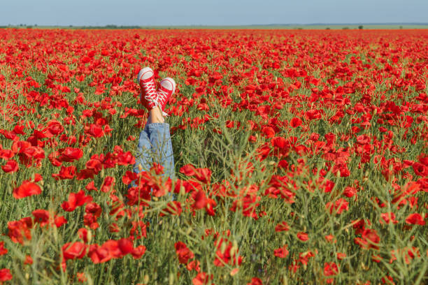 若い女の子脚ケシ畑に赤いスニーカー。喜びと楽しさのコンセプトです。 - field poppy single flower flower ストックフォトと画像