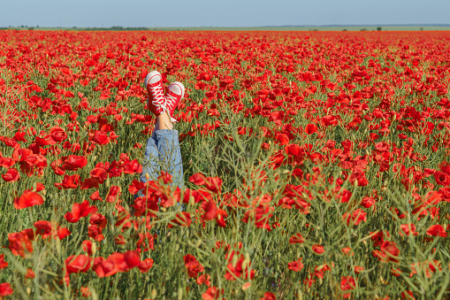 Young girl legs in red sneakers in a poppy field in the spring joy and fun concept.