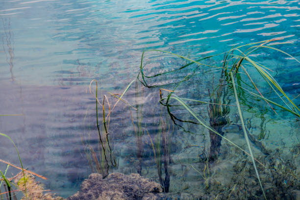 istock Green water close up in Alps 967086388