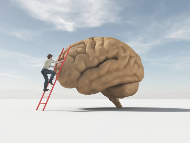 istock The man climbs a ladder supported by a brain. 967086612