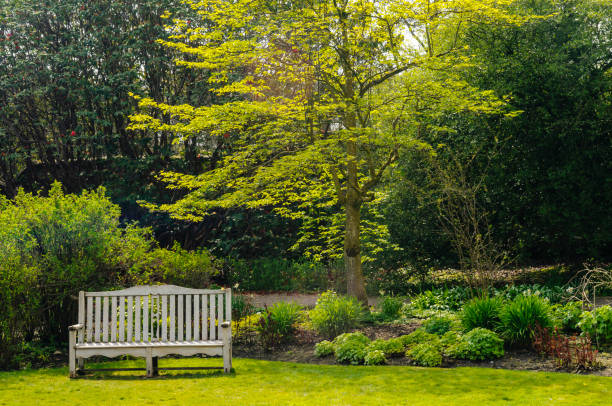 panca in un ampio giardino - formal garden flower bed lawn ornamental garden foto e immagini stock