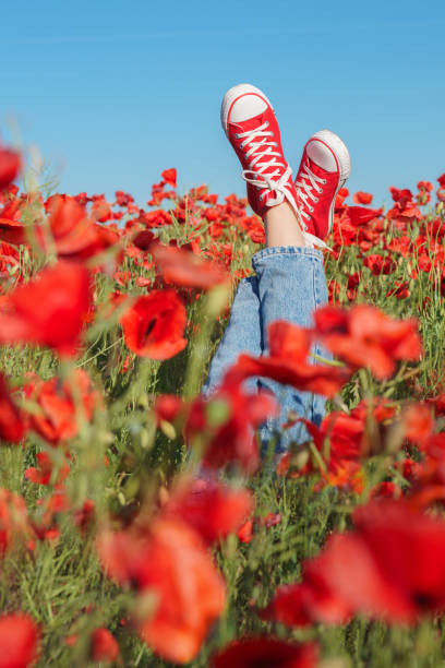 istock Two legs in red sneakers in a poppy field. 967091154
