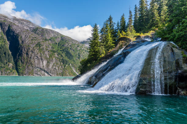 cascada a lo largo fiordo de tracy arm de alaska - waterfall summer outdoors river fotografías e imágenes de stock