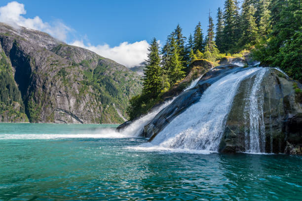 cascata lungo il fiordo di tracy arm in alaska - waterfall summer outdoors river foto e immagini stock