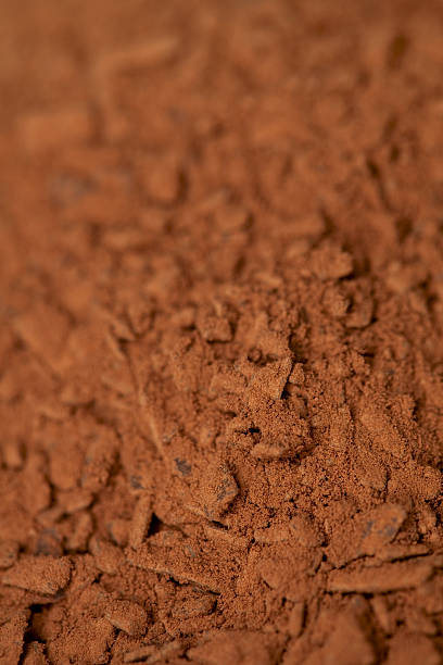 istock cocoa powder with small pieces of chocolate 96709252