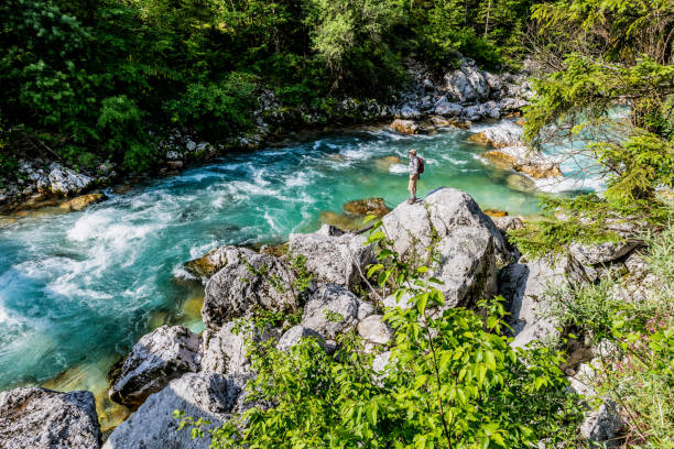 Senior man by the Soca River River Soča in Valley of Trenta in Julian Alps, Slovenia, Europe. soca valley stock pictures, royalty-free photos & images