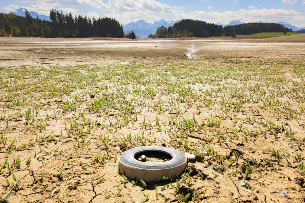 dry land at lake Forggensee without water dry land at lake Forggensee without water forggensee lake photos stock pictures, royalty-free photos & images
