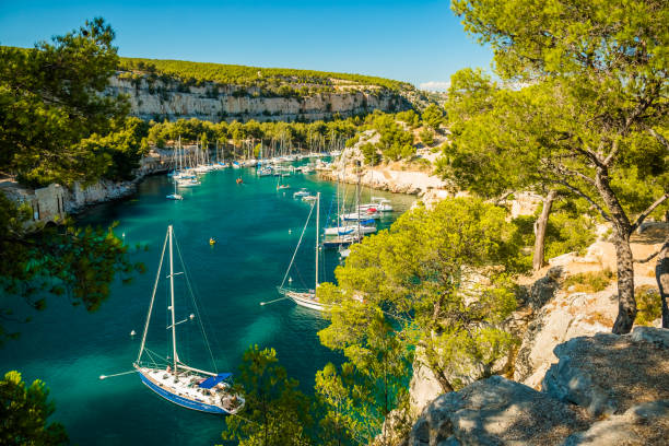 calanque de port miou - fiord w pobliżu cassis village, prowansja, francja - francuska riwiera zdjęcia i obrazy z banku zdjęć