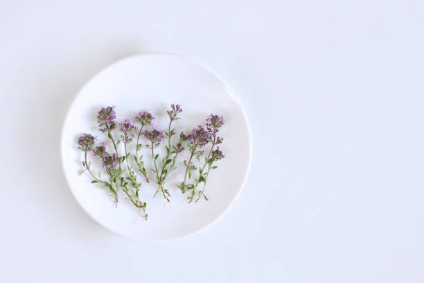 istock Purple little Thymus pulegioides common names lemon thyme on a white plate.Thymus pulegioides is a species of flowering plant. Tea is effective during diseases of the upper respiratory tract 967105200
