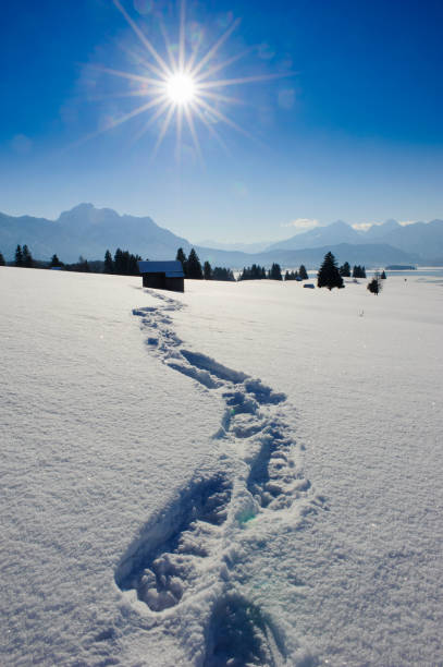 footpath in snow on lonesome landscape