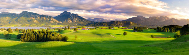 istock panoramic scene with lake Forggensee and mountains in Bavaria 967108560