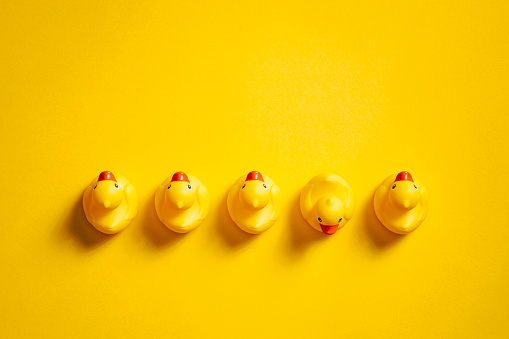 Directly above photography of rubber ducks on a yellow background.