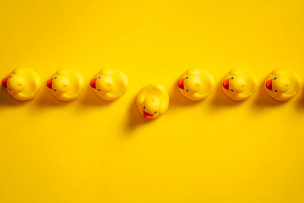 istock Rubber ducks in a line on yellow - Background Individuality Ideas 967113134