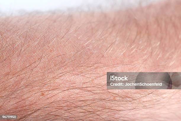 Human Skin Stock Photo - Download Image Now - Body Hair, Adult, Backgrounds