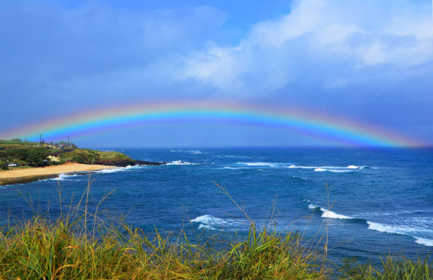 Vibrant color, tropical flowers, rainbows, waterfalls, sunsets and beautiful beaches make for a memorable vacation on the Island of Maui, Hawaii.