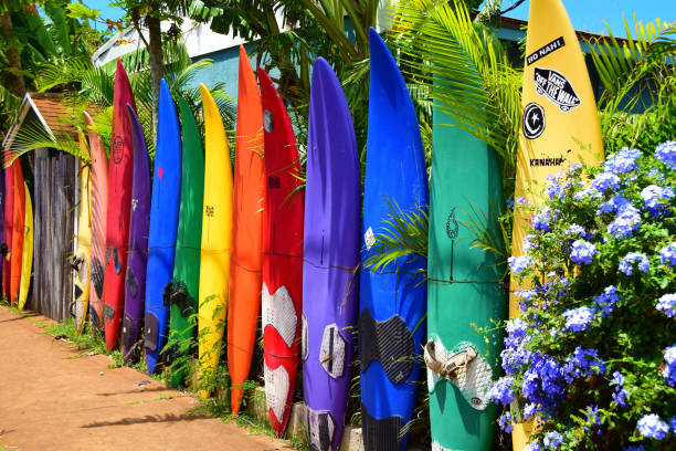 isola di maui - surfboard foto e immagini stock