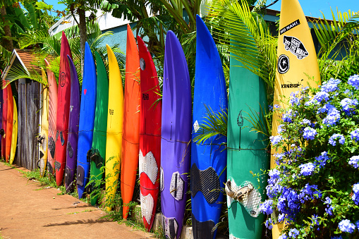 Vibrant color, tropical flowers, rainbows, waterfalls, sunsets and beautiful beaches make for a memorable vacation on the Island of Maui, Hawaii.
