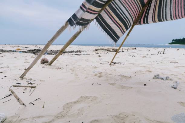 istock Young surfer man preparing / pitching tent / teepee tent on the beach 967126626