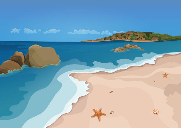 Sand beach and sea, vector Sand beach and sea, vector colorful graphic drawing. Sandy shore with starfish and seashells, sea waves, ocean, rocks in the sea, horizon and blue sky, and island with trees. Sunny summer illustration bay cartoon stock illustrations