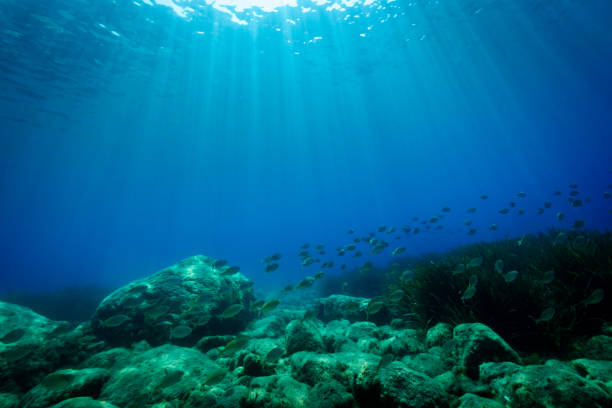 seabed in the Mediterranea Sea