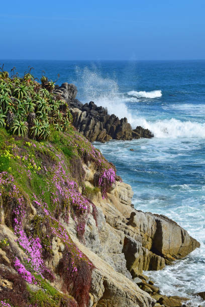 istock Monterey Bay, California 967134100