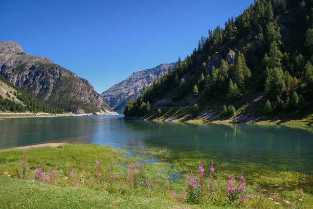 Valley and lake in Livigno Italy, summer in the mountains, hiking, green nature, alpine landscape, beautiful travel destination