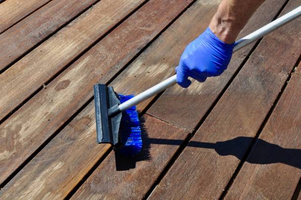 istock Cleaning Deck with Blue Gloves and Brush 967174146