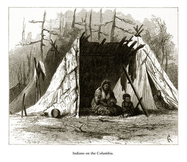 индейцы на реке колумбия, орегон, сша, американская викторианская гравюра, 1872 - north american tribal culture environment child plant stock illustrations